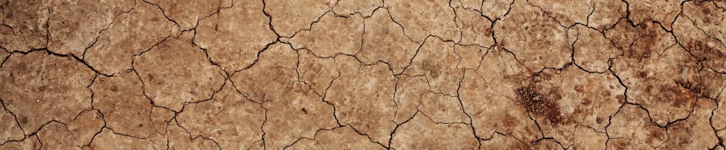 Tu hwnt i ffiniau: Cenedlaetholdeb a’r argyfwng&nbsp;hinsawdd